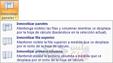 Inmovilizar Paneles
